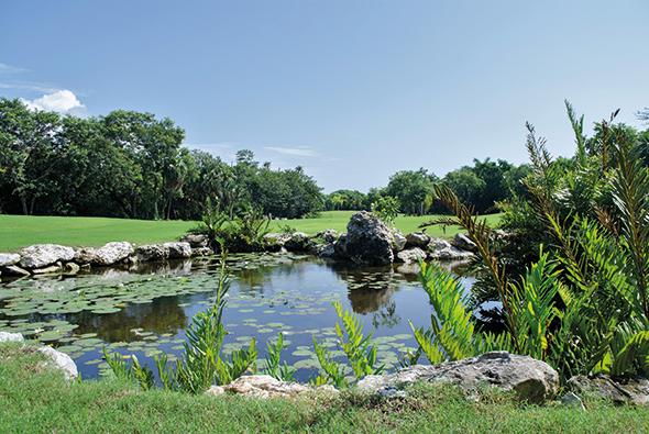 Carrousel-Golf-Academy-2